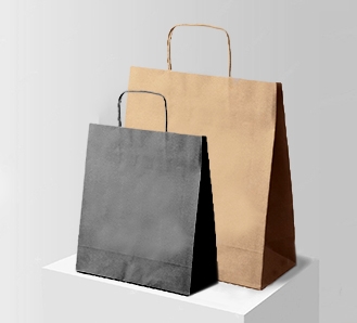 Paper Bags with Twisted Handles